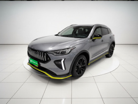 哈弗赤兔 2021款 激擎版 1.5T 黄金兔