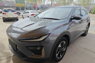 哪吒汽车 哪吒X 2023款 500 Lite