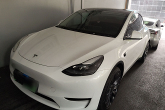 特斯拉 Model Y 2024款 Performance高性能版