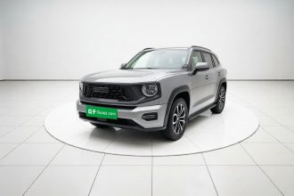 哈弗大狗 PLUS 2023款 2.0T 四驱潮野Plus