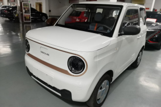 吉利银河 2024款 熊猫mini 200km 耐力熊