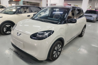 五菱汽车 五菱缤果 2024款 333km 悦享款