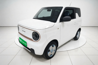 吉利银河 2024款 熊猫mini 200km 耐力熊