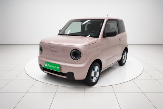 吉利银河 2024款 熊猫mini 200km 耐力熊