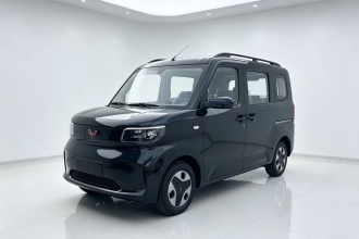 五菱汽车 五菱之光新能源 2025款 305km 进取型