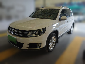 大众 途观 2016款 280TSI 自动两驱丝绸之路风尚版