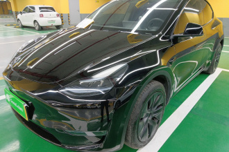 特斯拉 Model Y 2023款 长续航全轮驱动版