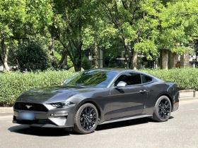 福特 Mustang 2019款 2.3L EcoBoost 性能加强版