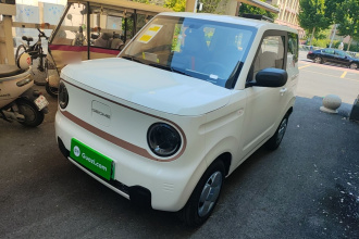 吉利银河 2024款 熊猫mini 200km 耐力熊