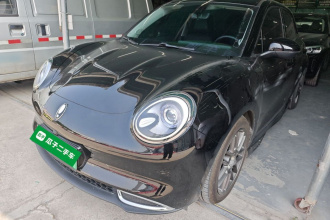 欧拉好猫 2022款 400km标准续航 尊贵型 磷酸铁锂