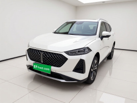 魏牌 玛奇朵 2021款 1.5L DHT特调版