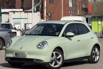 欧拉好猫 2023款 401km标准续航 豪华型 磷酸铁锂