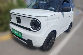 吉利银河 2024款 熊猫mini 200km 耐力熊