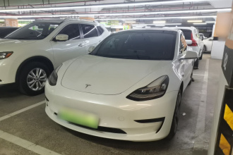 特斯拉 Model 3 2020款 标准续航后驱升级版