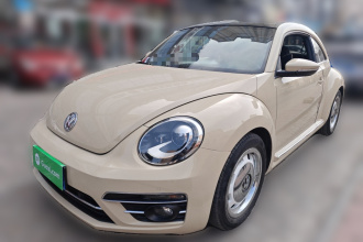 大众 甲壳虫 2019款 180TSI 珍藏版