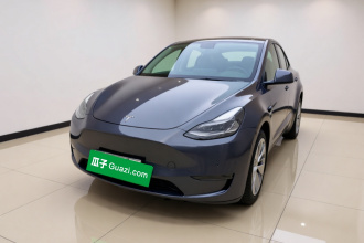 特斯拉 Model Y 2021款 长续航全轮驱动版