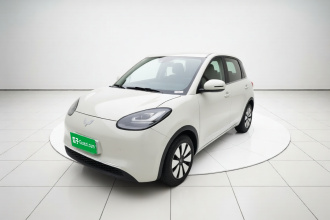 五菱汽车 五菱缤果 2023款 203km 舒享款