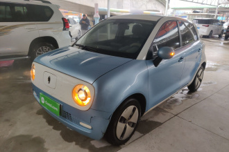 欧拉黑猫 2021款 301km 基础型