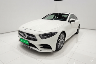 奔驰CLS 2020款 CLS 300 动感型