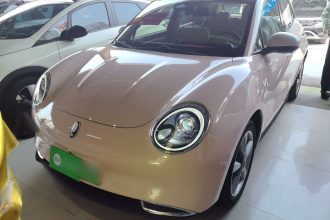 欧拉好猫 2021款 400km标准续航 维纳斯版 三元锂