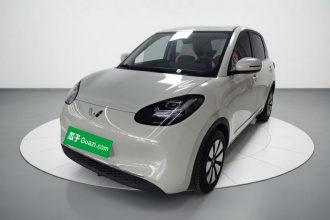五菱汽车 五菱缤果 2023款 203km 舒享款