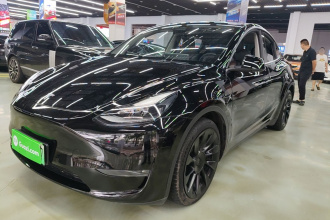 特斯拉 Model Y 2021款 标准续航后驱版