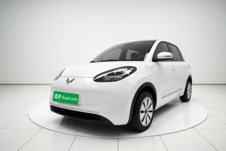 五菱汽车 五菱缤果 2025款 203km 轻享款