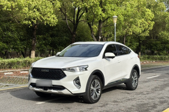 哈弗F7x 2019款 1.5T 两驱极智科技版