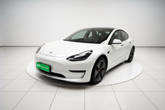 特斯拉 Model 3 2021款 标准续航后驱升级版 3D6