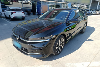 大众 迈腾 2024款  300TSI DSG尊享版显眼包