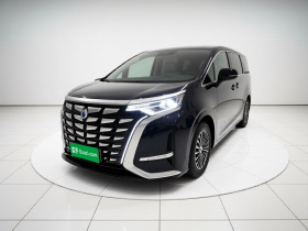 腾势D9 2024款 DM-i 980 四驱尊荣型