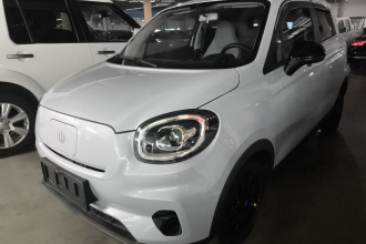 零跑汽车 零跑T03 2023款 310轻享版