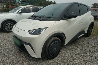 比亚迪 海鸥 2024款 荣耀版 305km 活力版