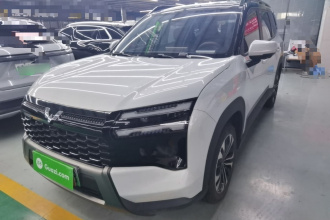 五菱汽车 星光560新能源 2026款 插混 125km 豪华型