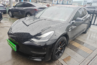 特斯拉 Model 3(进口) 2019款 长续航后驱版