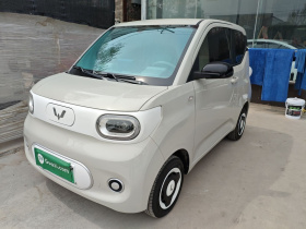 五菱汽车 宏光MINIEV 2024款 第三代 215km 青春版