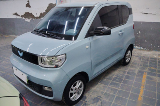 五菱汽车 宏光MINIEV 2020款 轻松款 磷酸铁锂