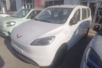 五菱汽车 五菱宏光新能源 2024款 纯电版 300KM 实用型