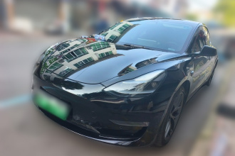 特斯拉 Model 3 2021款 Performance高性能全轮驱动版