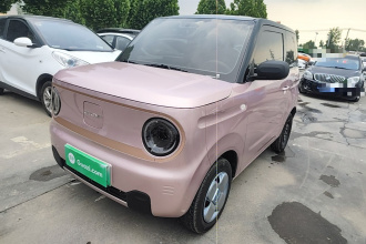 吉利银河 2024款 熊猫mini 200km 耐力熊