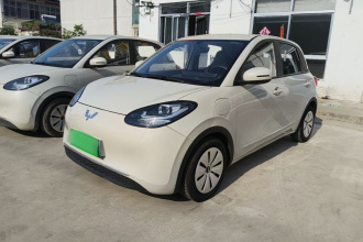五菱汽车 五菱缤果 2023款 333km 快享款