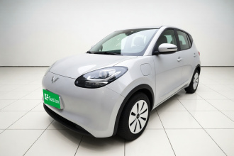 五菱汽车 五菱缤果 2025款 203km 轻享款