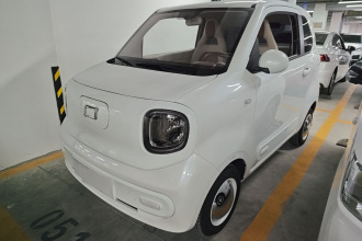 奔腾小马 2026款 222km 炫彩马