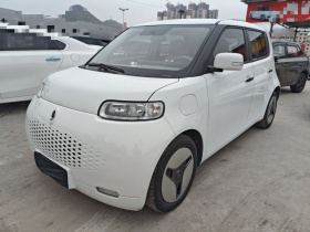 欧拉白猫 2020款 360km 豪华型