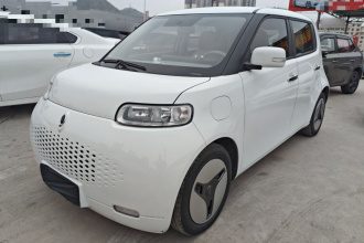 欧拉白猫 2020款 360km 豪华型