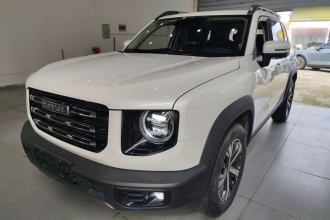 哈弗大狗 2021款 1.5T DCT两驱拉布拉多版