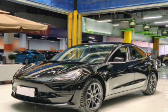 特斯拉 Model 3 2019款 标准续航后驱升级版
