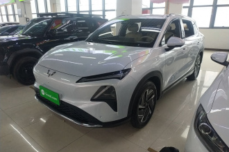 五菱汽车 五菱星光S 2024款 510km 旗舰型