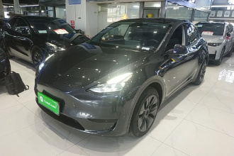 特斯拉 Model Y 2024款 后轮驱动版