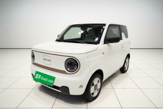 吉利银河 2024款 熊猫mini 200km 耐力熊